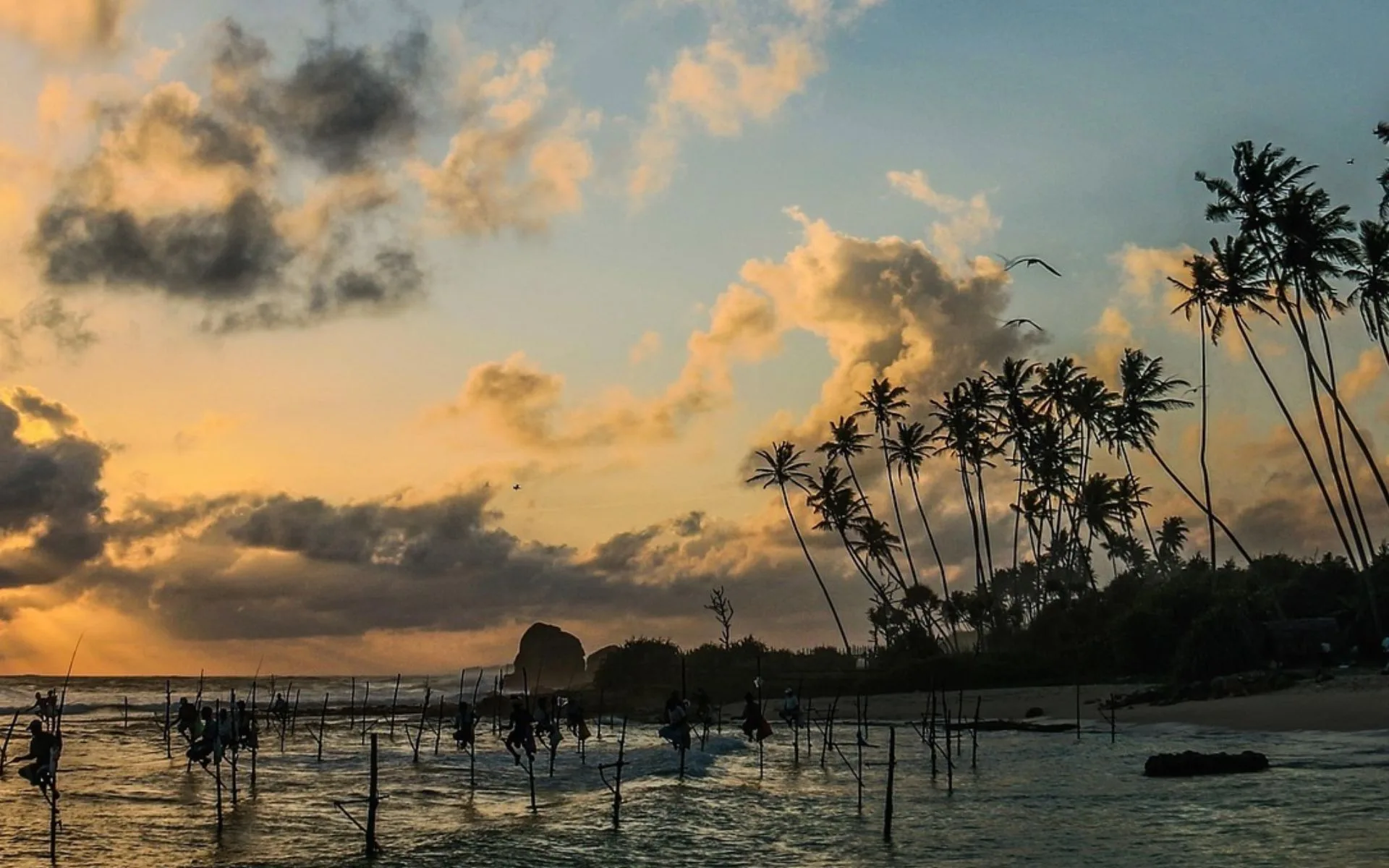 Mirissa, Sri Lanka