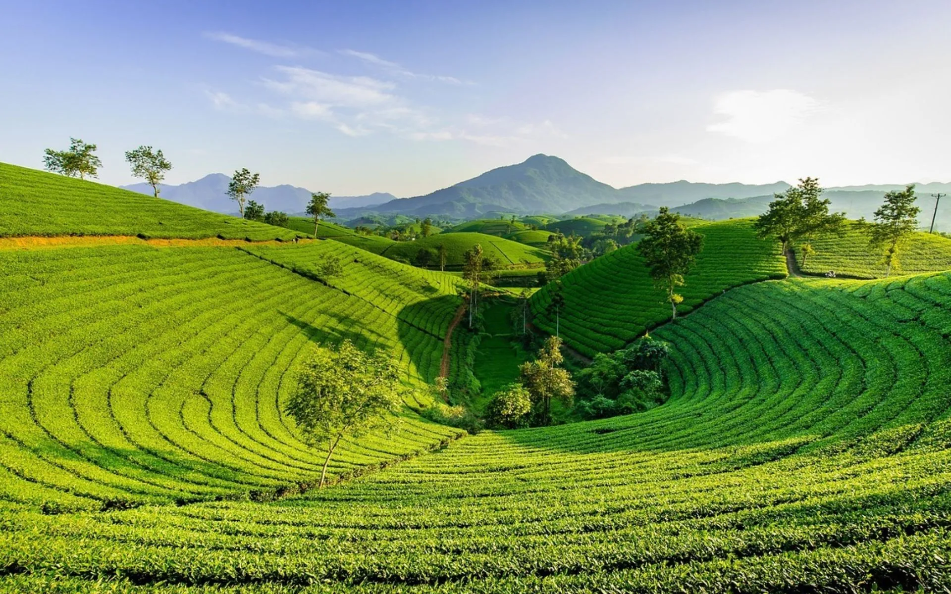 Nuwara Eliya, Sri Lanka