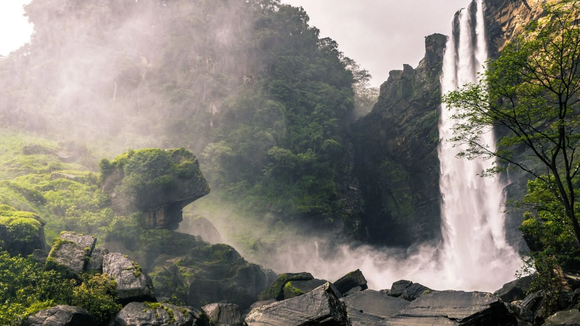 Chase waterfalls. Find your wild side.