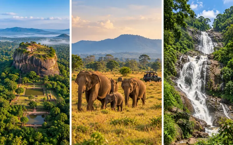 10-Day Grand Sri Lanka Journey: Rock, Tea, Wildlife & Coast